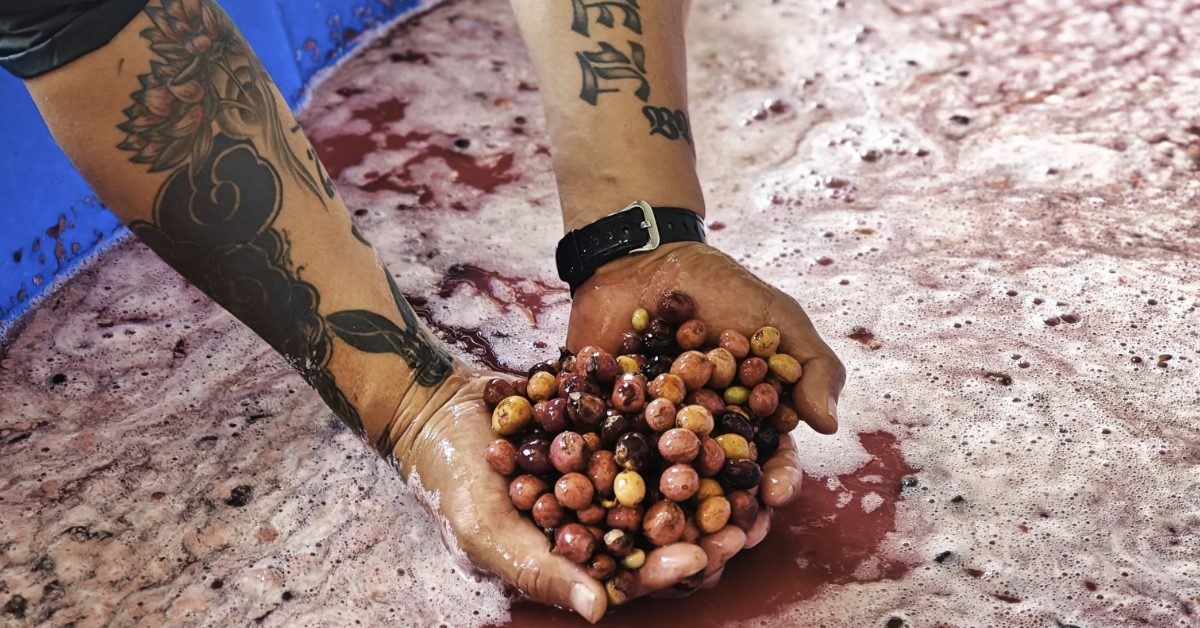 History of Coffee in Vietnam, From Colonial Crop to Global Coffee Powerhouse